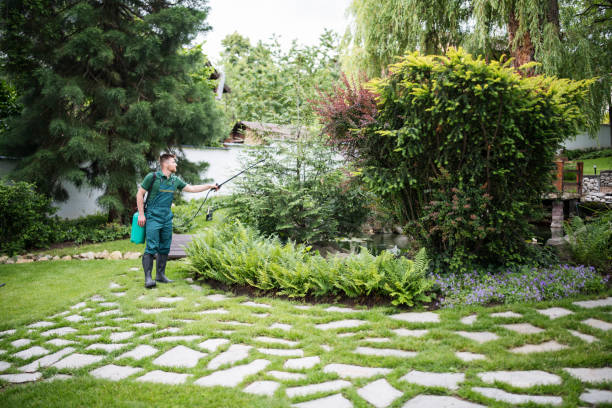 Best Termite Control Services  in Strathmore, CA