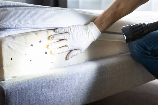 Best Best Pest Control Companies  in Strathmore, CA