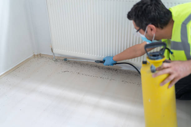 Best Affordable Exterminators  in Strathmore, CA